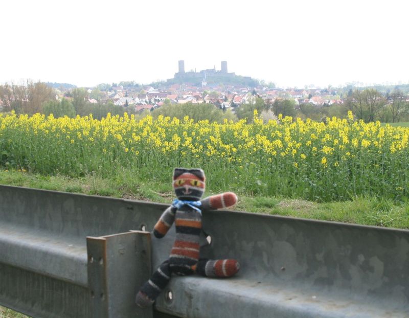 marburg2
