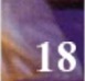 tor